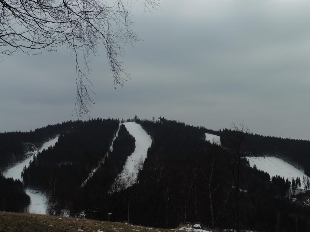 Jako Doma Albrechtice v Jizerskych horach Dış mekan fotoğraf